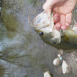 Meet your Posher, Caleb